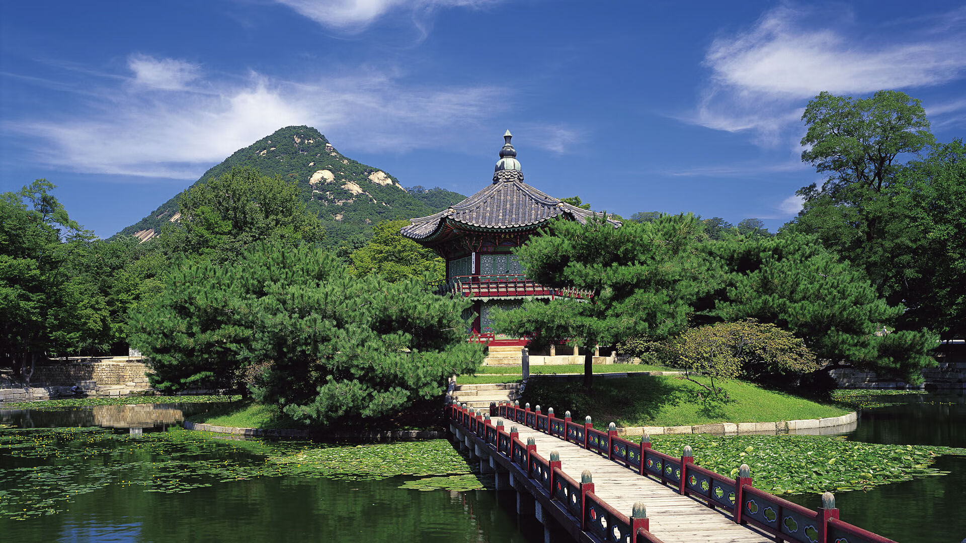 Aster选手训练成果显著,aster队员介绍