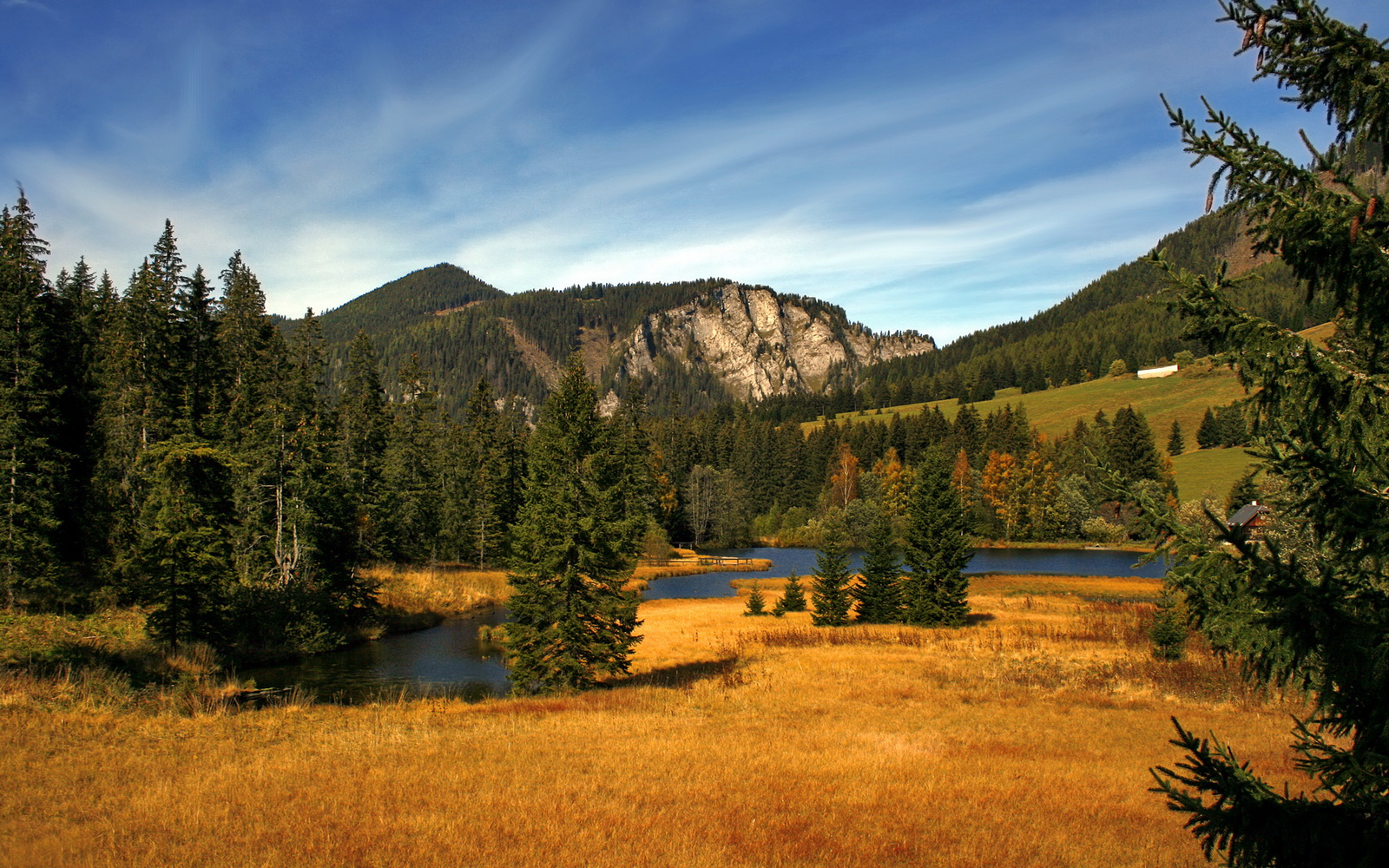 博卡青年攻防转换效率提升,博卡青年战绩500