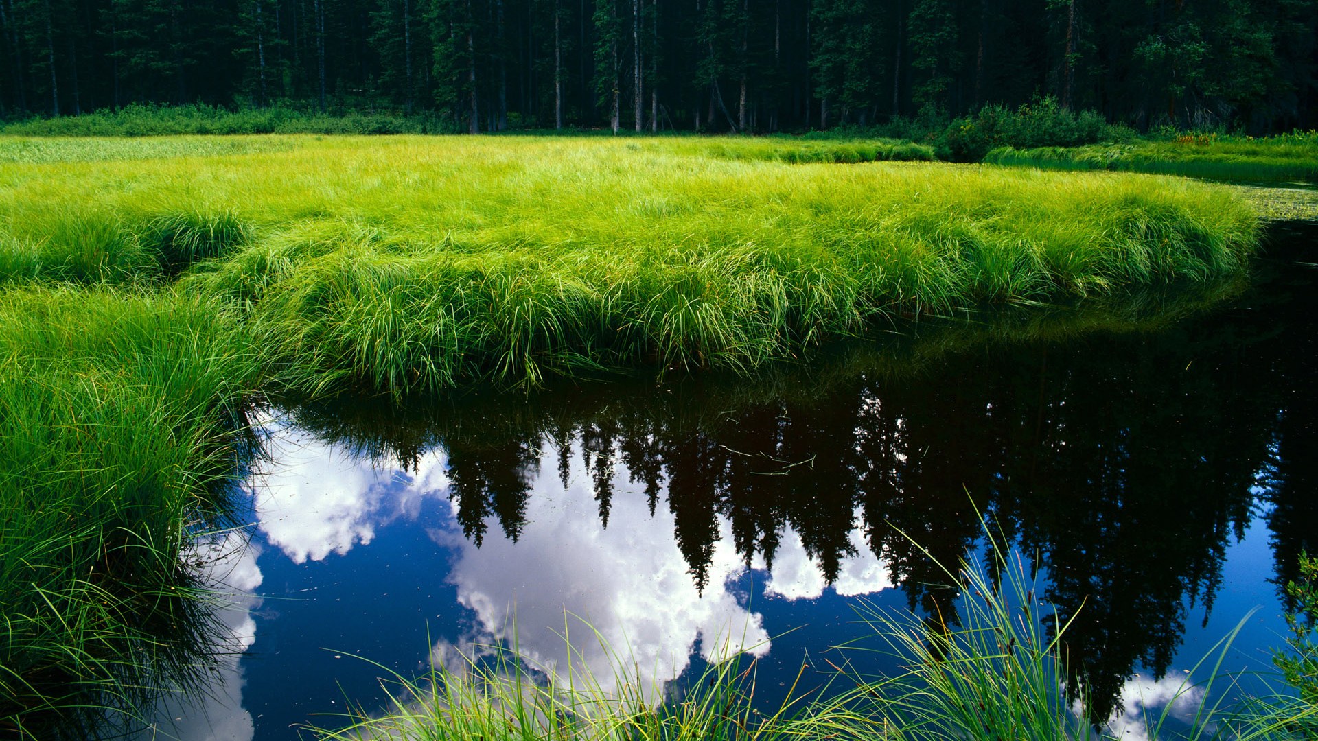 年轻教练是否应承担更多战术革新责任,青少年教练对青少年成长所起的作用