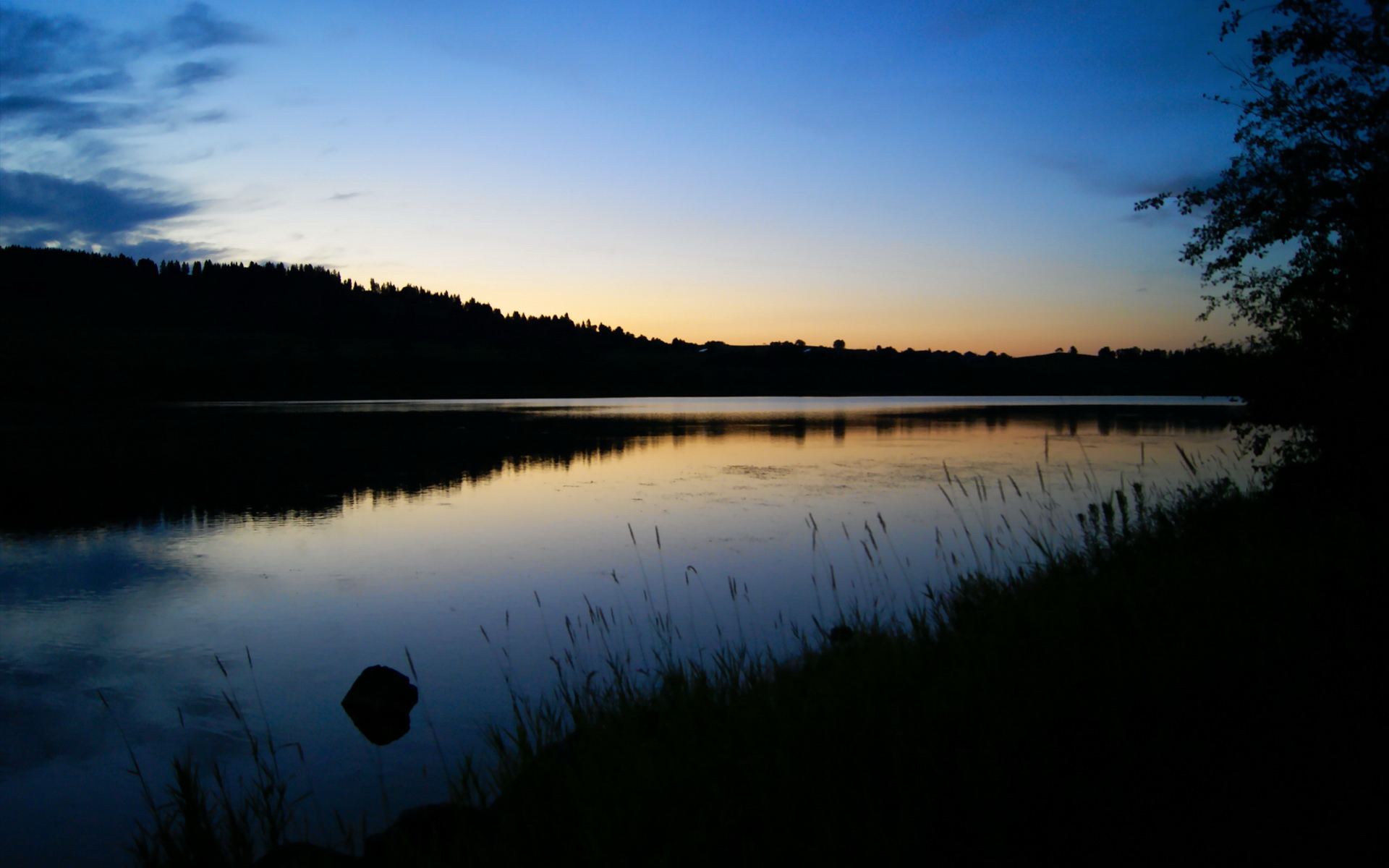 九游网址-美洲篮球明星联赛精彩纷呈，美洲篮球冠军联赛