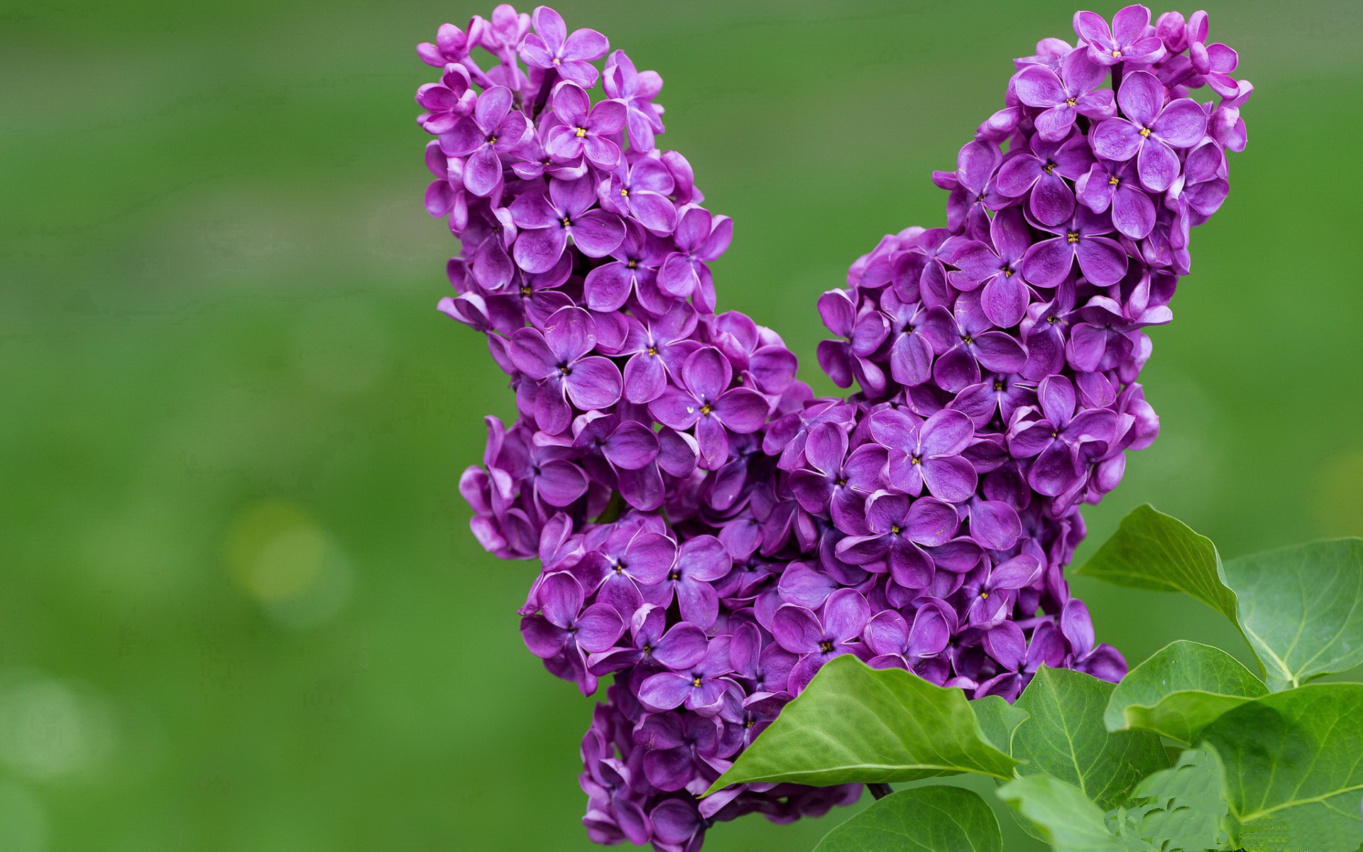 九游体育网页入口-2024年埃及队表现：以团队为核心，走向未来，埃及队怎么样