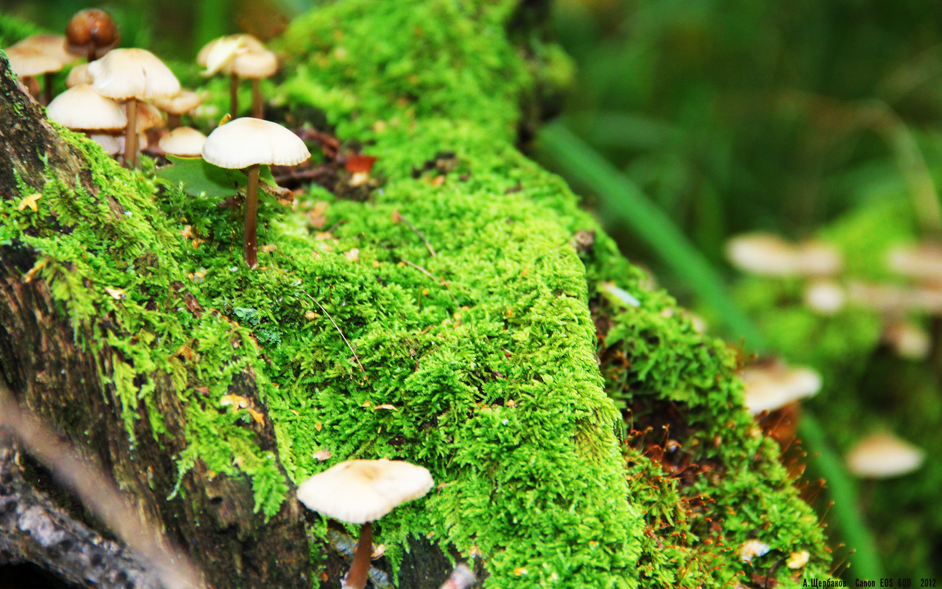 九游-五大联赛助攻方式是否逐渐向地面渗透演变，五大联赛单赛季助攻最多记录