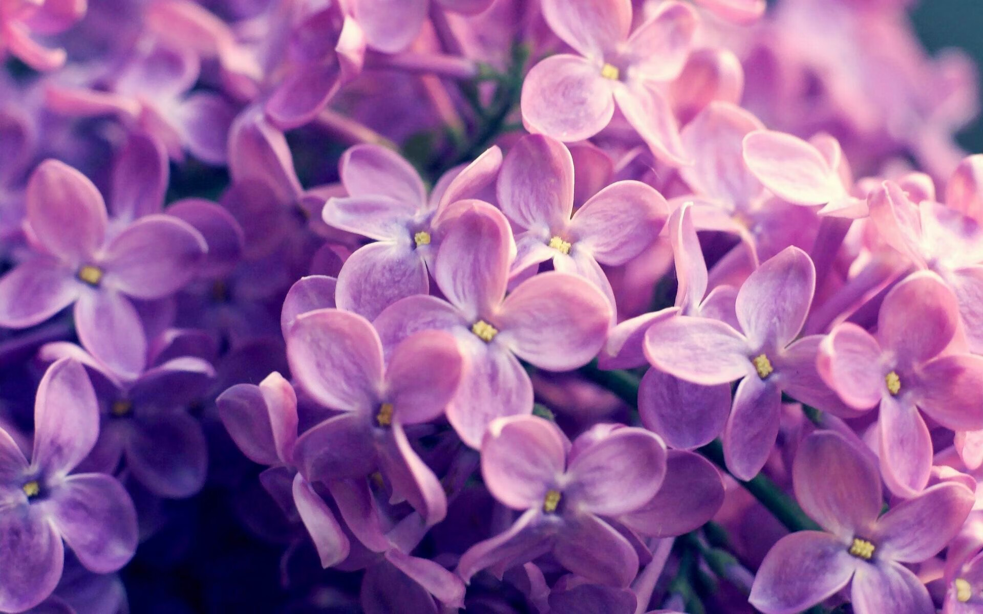 王者荣耀高校联赛火爆校园电竞氛围浓厚，王者荣耀高校联赛赛事介绍