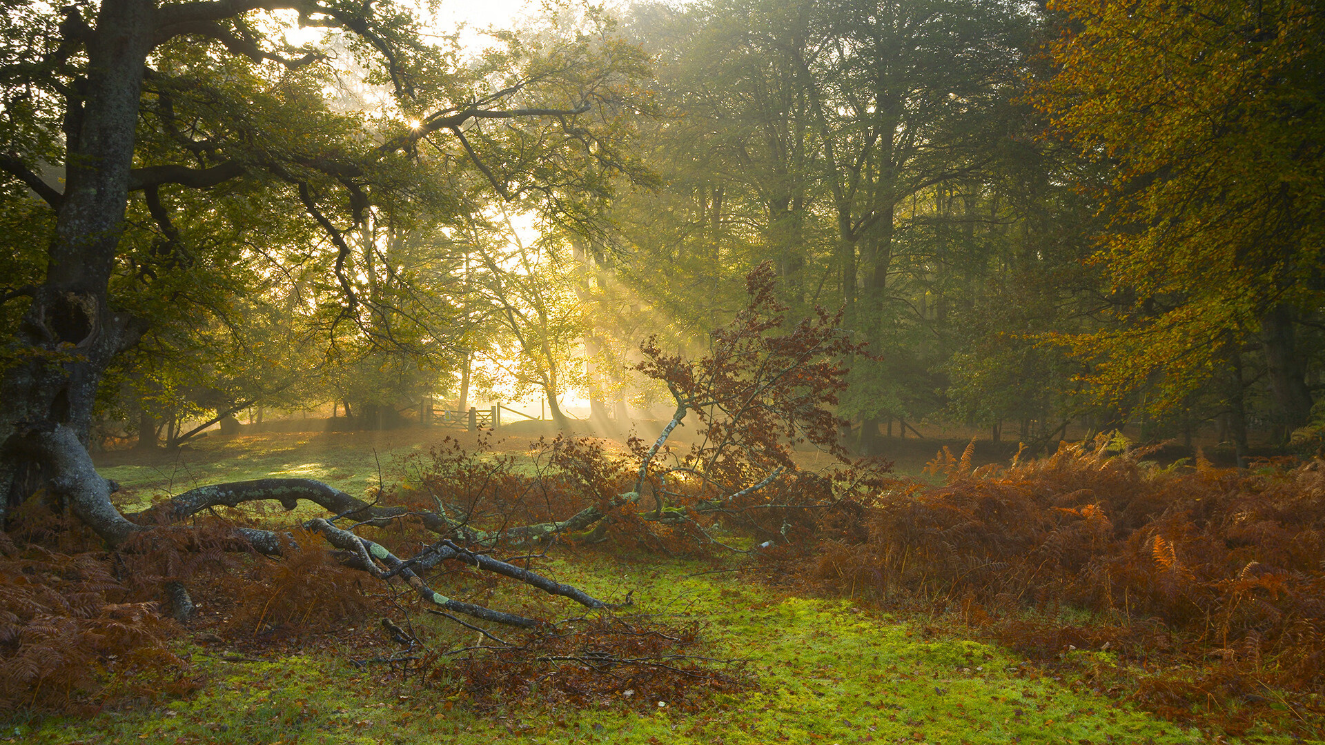 Nine Gaming-高水平对抗中暴露短板球队临场调整策略仍显不足，高水平比赛对抗的激烈程度